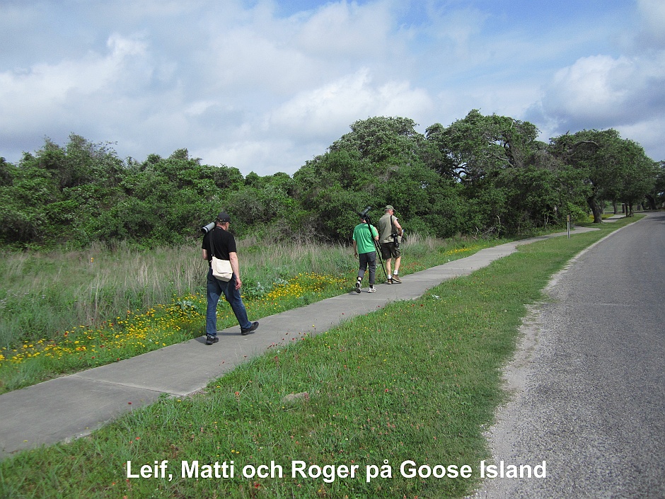 Leif,Matti o Roger på Goose Island